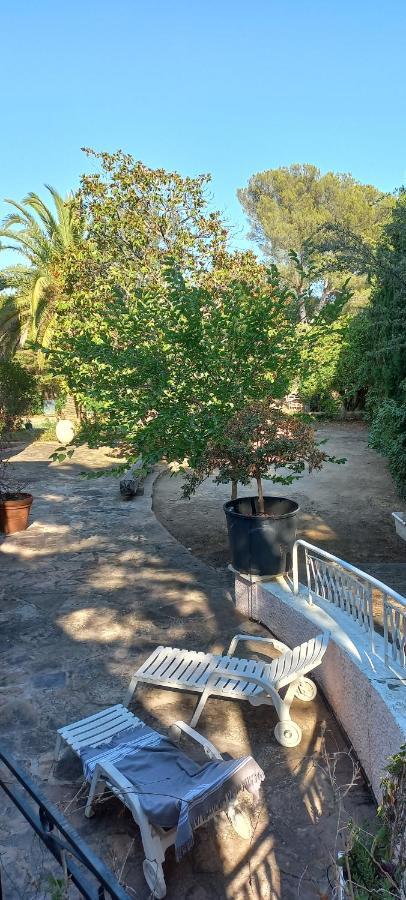 Appartement Et Sa Grande Terrasse En Rez De Jardin 圣艾格夫 外观 照片