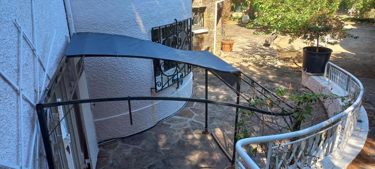 Appartement Et Sa Grande Terrasse En Rez De Jardin 圣艾格夫 外观 照片