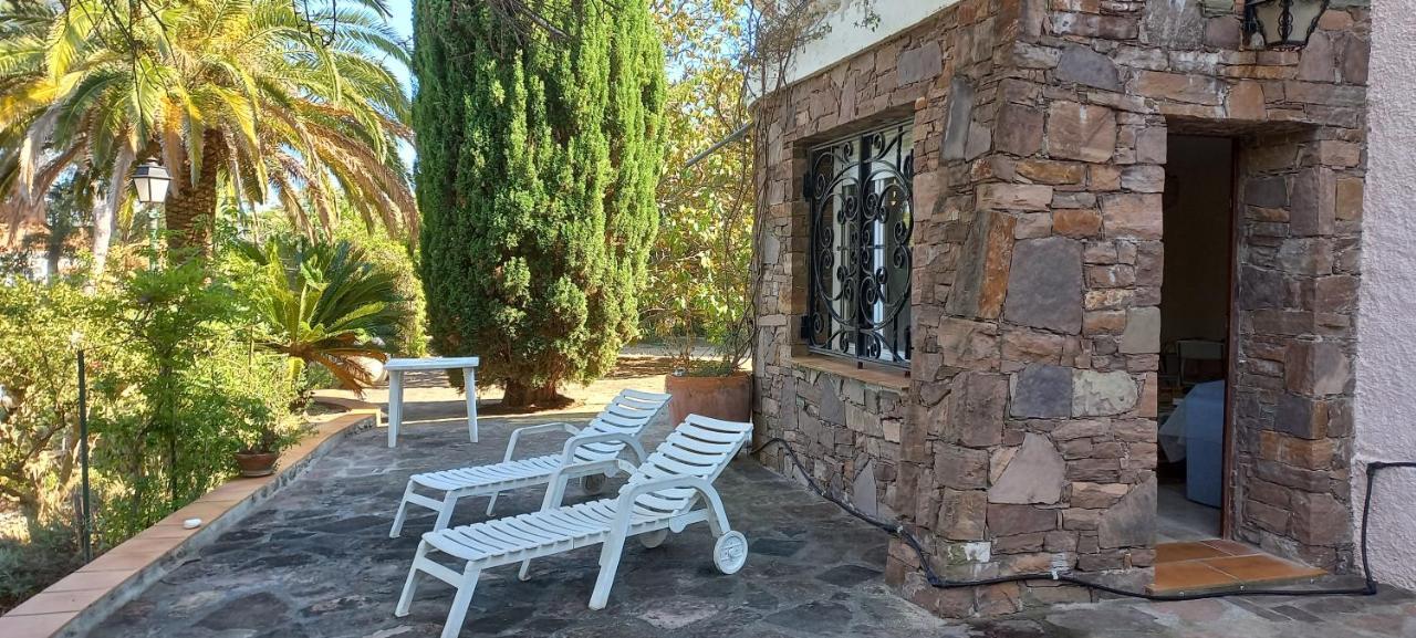 Appartement Et Sa Grande Terrasse En Rez De Jardin 圣艾格夫 外观 照片